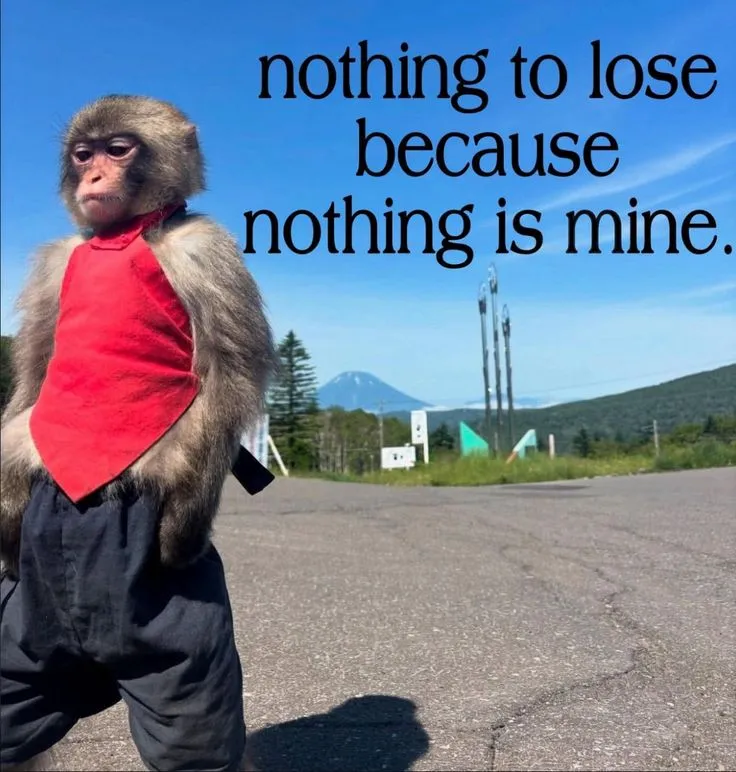 Nothing to lose because nothing is mine poster